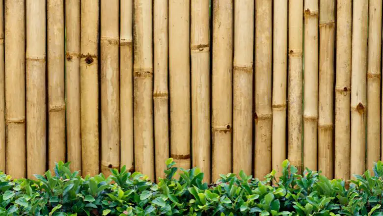 Bamboo Fence: An Eco-Friendly and Stylish Option for Your Garden