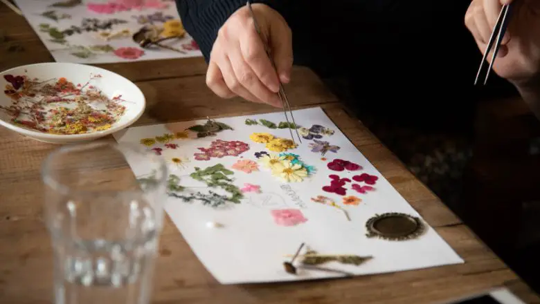 Creative Wall Art with Pressed Flowers: Preserving Nature's Beauty in Timeless Frames!