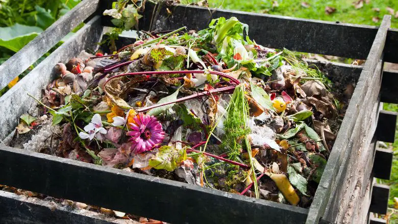 DIY Compost Bin Made of Wood Pallets to Recycle Organic Waste