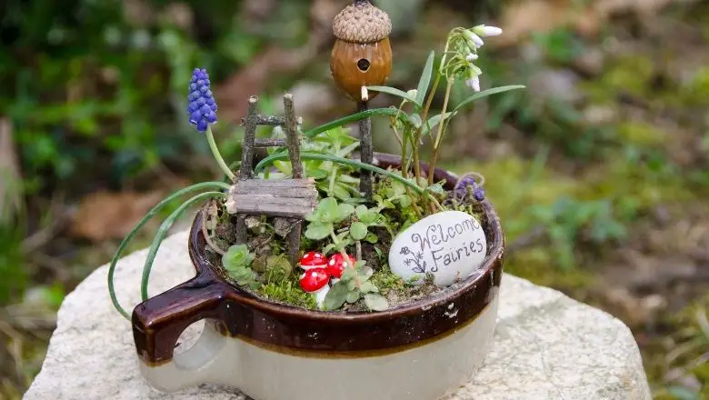 Enchanting Fairy Garden Ideas for Miniature Magic