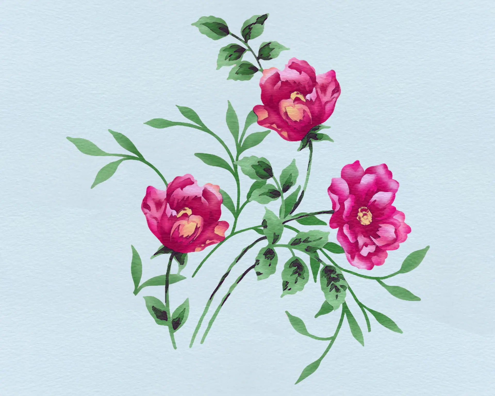 Flower Buds Paintings