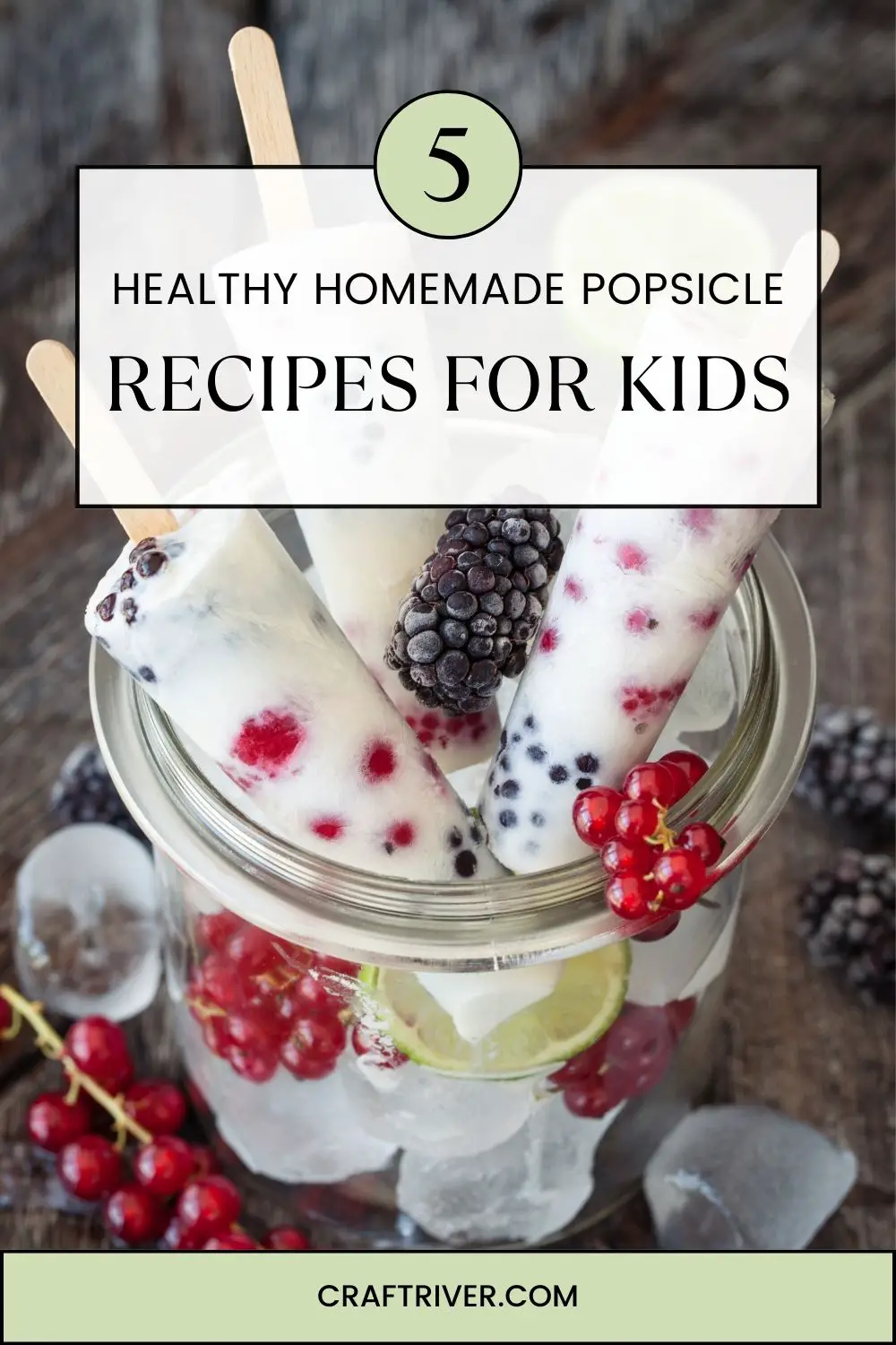 Homemade Popsicle Recipes For Kids