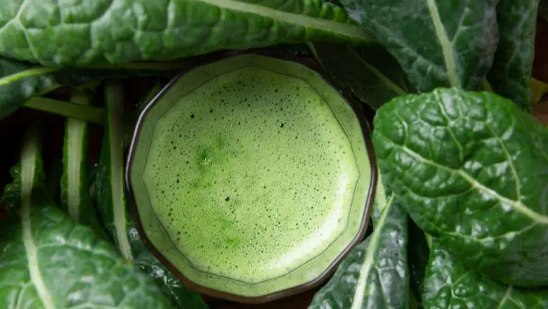 Lean and Green Kale Elixir: Fueling Your Body Right