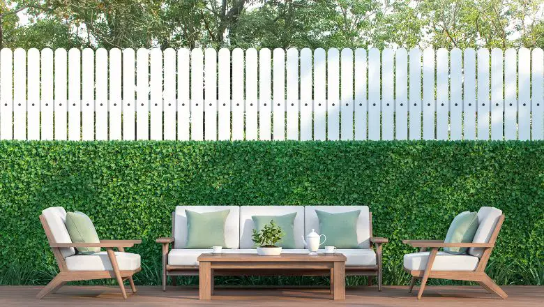 Living Fence: A Natural and Sustainable Way to Fence Your Garden