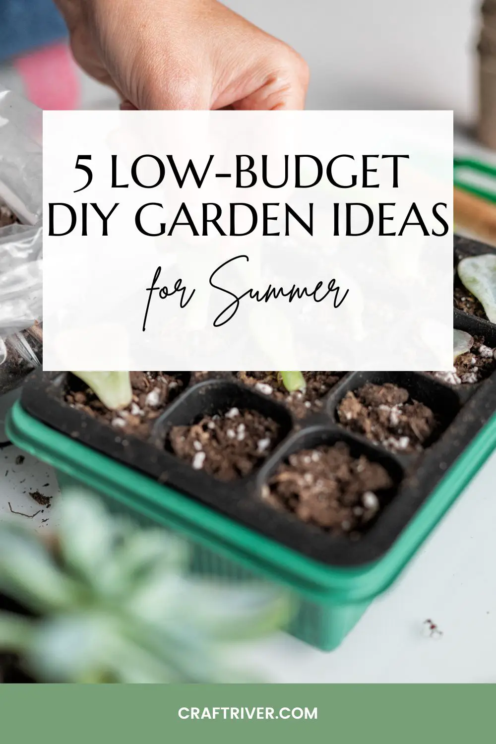 Low-Budget DIY Garden Ideas for Summer