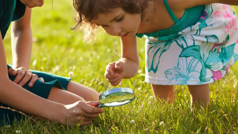 Outdoor DIY Project for Kid #5: Garden Explorers: Crafting Mini Worlds for Curious Minds