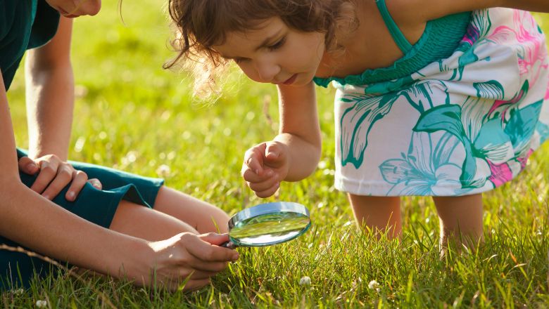 Outdoor DIY Project for Kid #5: Garden Explorers: Crafting Mini Worlds for Curious Minds