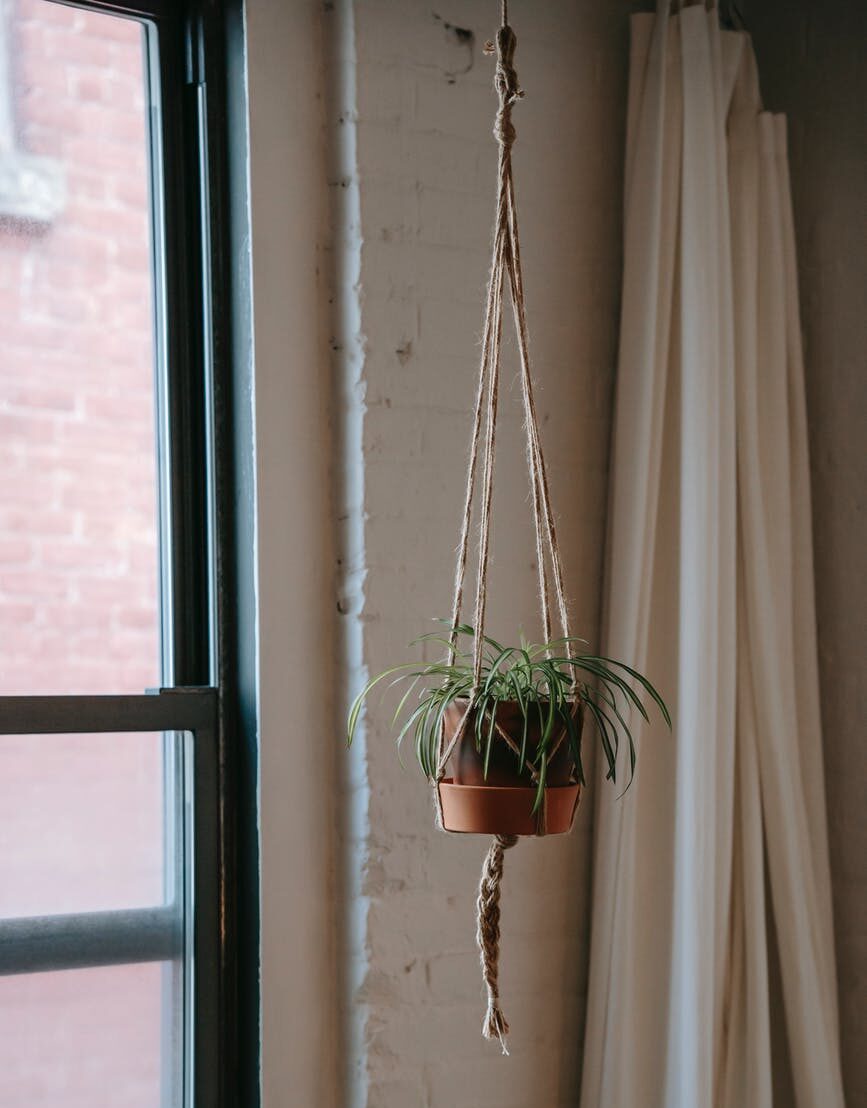 Rope Plant Hanger