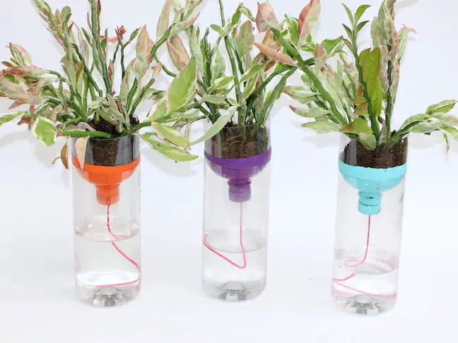 Upcycle Plastic Bottles into Self-Watering Planters by Adding a String Wick